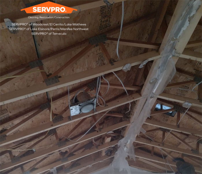 Our technician is expertly clearing out the ceiling, removing damaged insulation and drywall.