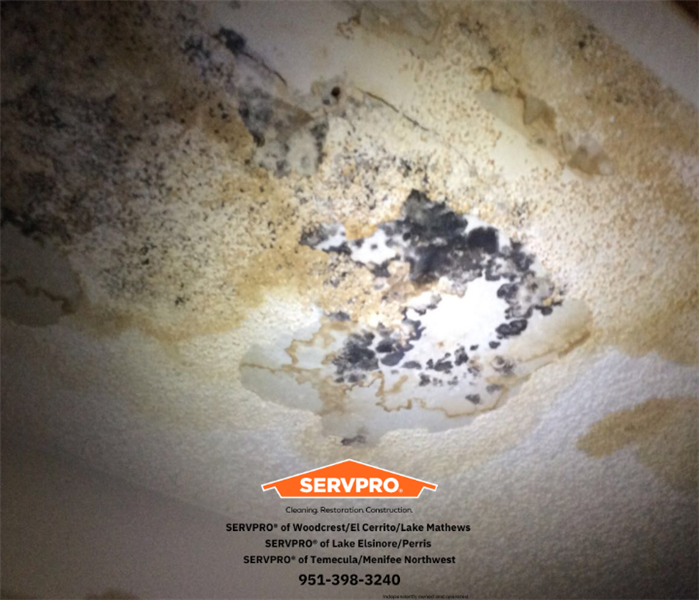 Bedroom closet ceiling has black mold due to leak from roof damage.